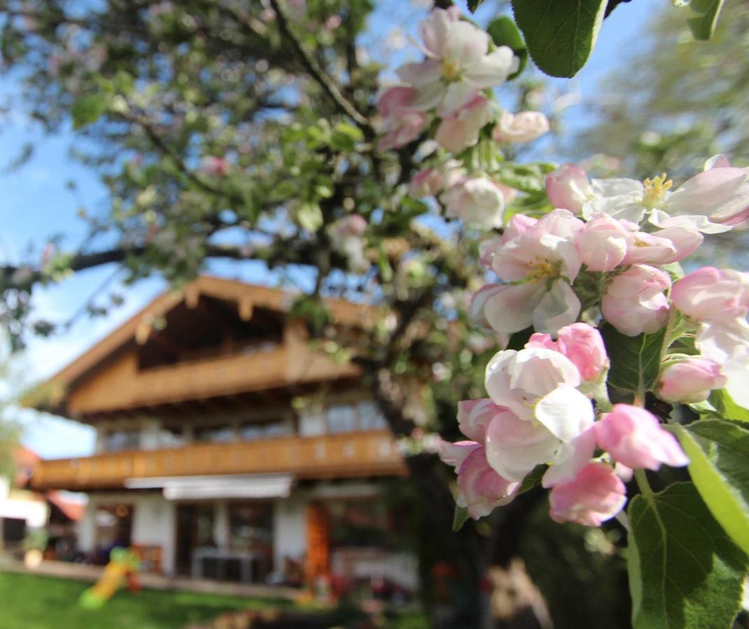 Appartementhaus Schirsner - Direkt Am See & Am Kurpark ชลีเอร์ซี ภายนอก รูปภาพ